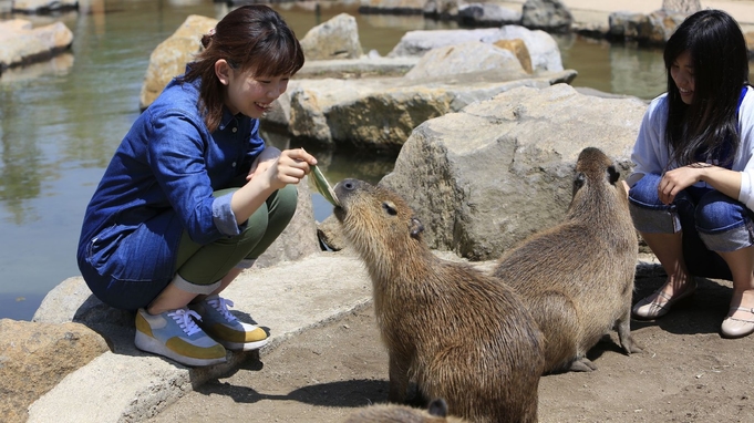 ＜那須どうぶつ王国【王国パスポート】付＞ショーやふれあいも楽しめる＜お食事はバイキング＞